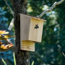 Large Wooden Bat Box - Handcrafted Bat House for Natural Pest Control