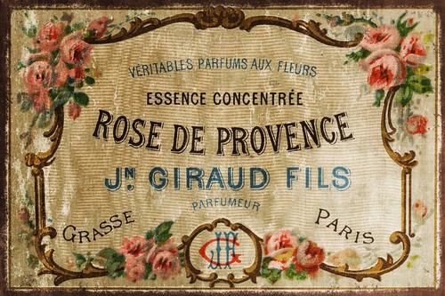 Vintage french paris rose - french,