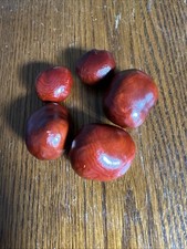 Premium Hand Picked Conkers For Sale! Can Buy 5 To 15. Buy Now!