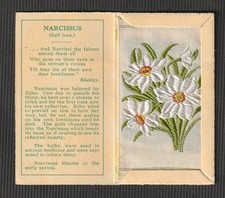 Wix kensitas tobacco small - wix,