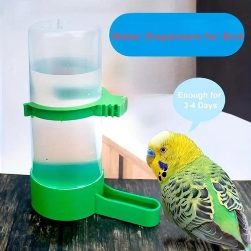 Water dispensers for bird - water,