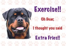 Funny ROTTWEILER Dog Vinyl Car