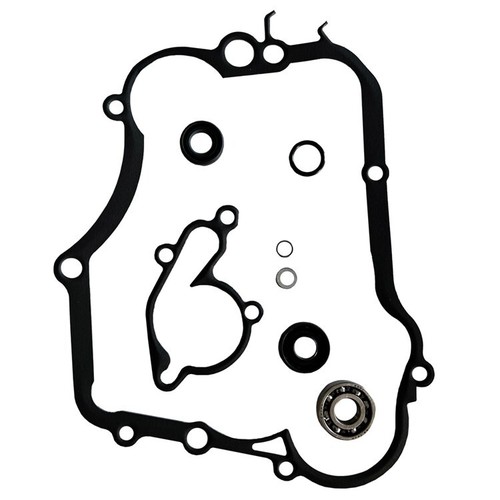 Vertex water pump rebuild - water,