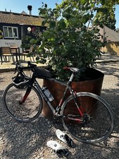 Willier Trestina izoard XP