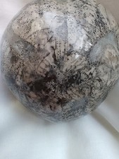 Cretaceous ,Micraster Heart