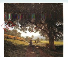 Picture Postcard- Robert Zund