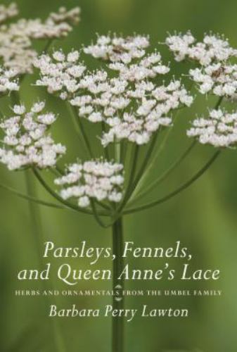 Parsleys fennels and queen - parsleys,, fennels,