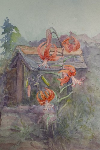 Original watercolour lily in - original,