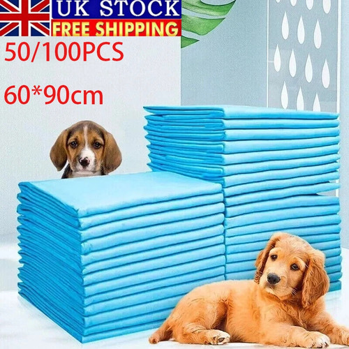 100 large puppy - large, training