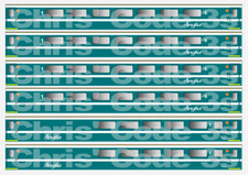 Adhesive Vinyl Coach Decal