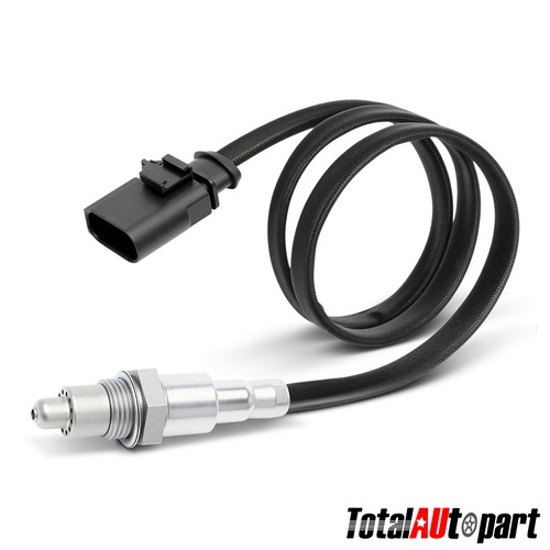 Oxygen sensor for - oxygen,