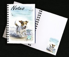 Jack Russell Terrier Dog