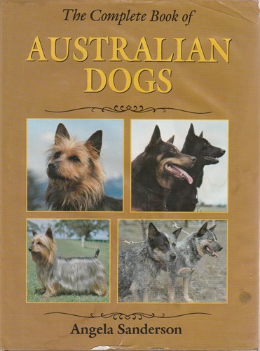 Australian dogs cattle - cattle,