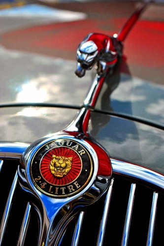 Jaguar car leaping cat leaper - car,