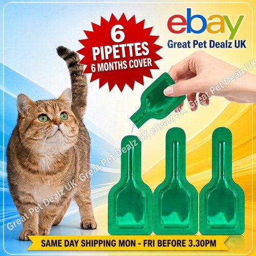 Spot cat flea - 50,