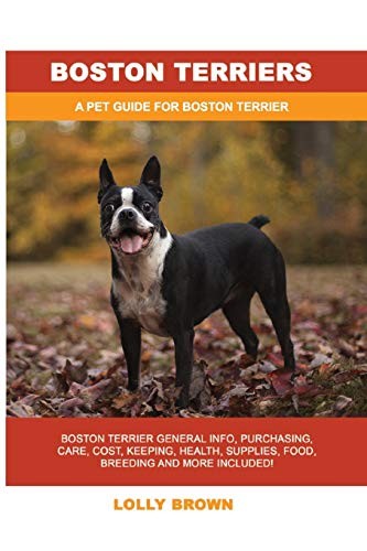Boston terriers - boston, terriers: