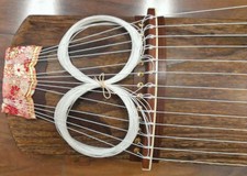 6 Ft. 13-String Professional