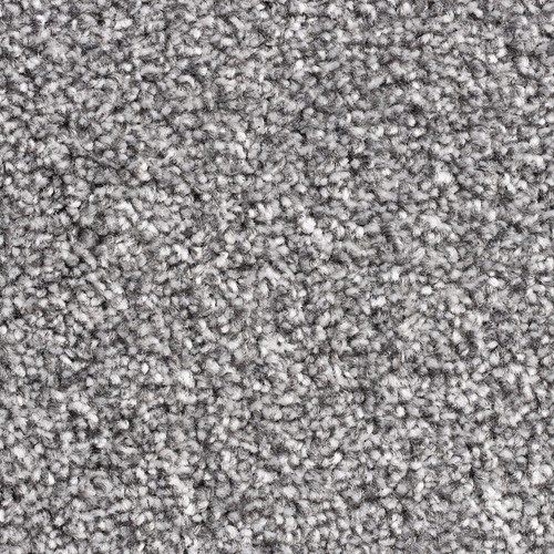 Dove grey barrati - dove,