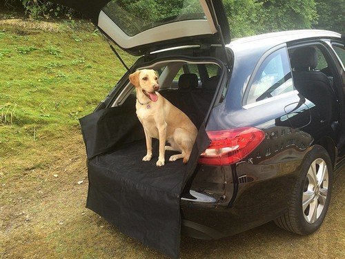 Heavy duty water resistant car - water,