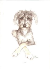 Lurcher Open Edition Art Print