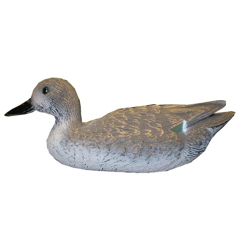 Sport plast teal hen - teal,