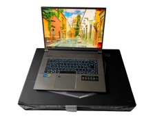 Acer Predator Triton 500 SE 32GB RAM 1TB SSD RTX3070 (8GB) i7 11800H