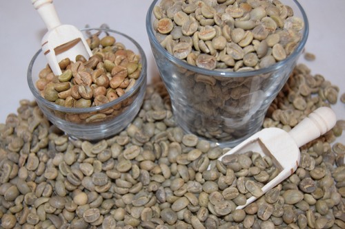 Ethiopia sidamo green coffee - green,