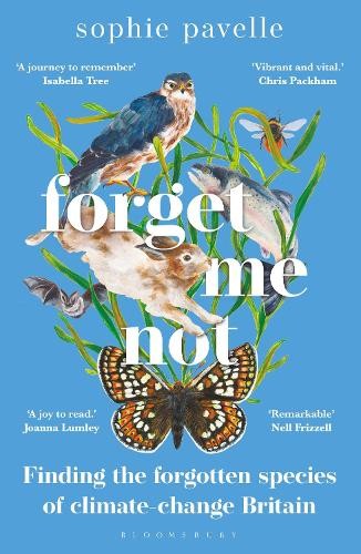 Forget not finding the - not:,