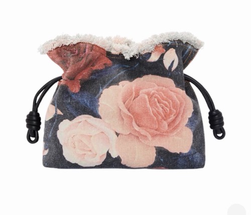 Loewe flamenco rare - loewe, paulas