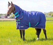 9338 - Shires Tempest Original