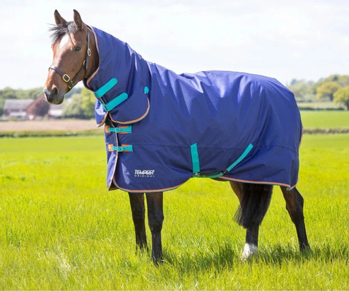 9338 shires tempest - -, original