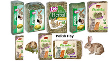 Hay- Natural Dried Food for