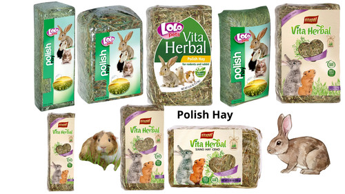 Hay natural dried food - hay-,