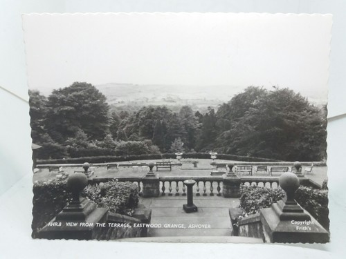 View from the - terrace, eastwood