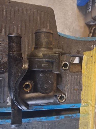 Ford focus mk1 thermostat - ford, rs