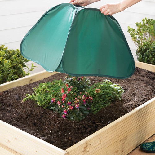 Garden row cover - garden,
