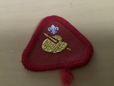 Vintage Cub Scout Badge 1990"s Artist