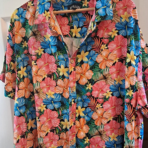 Koala bay men multicolour - men's,
