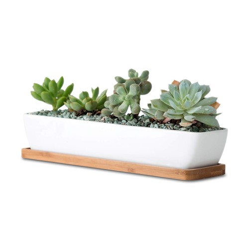 11inch long rectangle white - long,