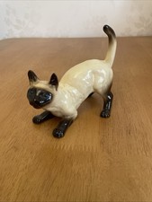 Vintage Siamese Cat