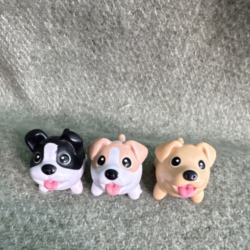 Chubby puppies lot spin - puppies, 3