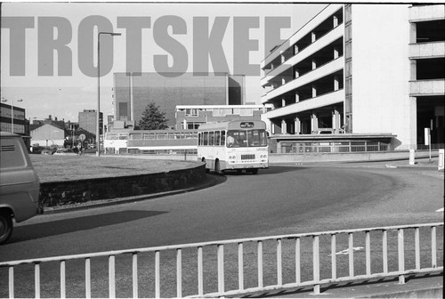 35mm black and white negative - 35mm,