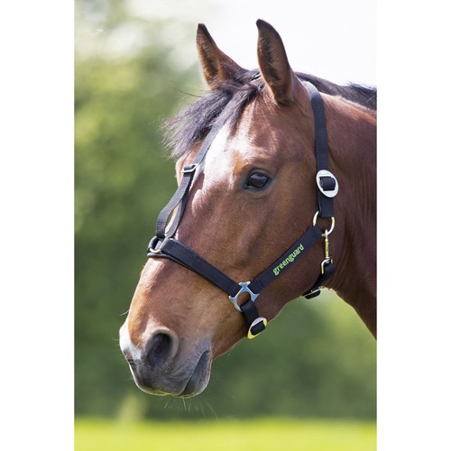 Shires greenguard headcollar - shires,