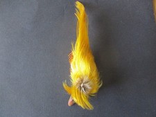 golden pheasant head topping