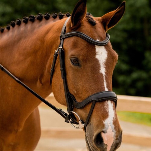 Select arena bridle - select,