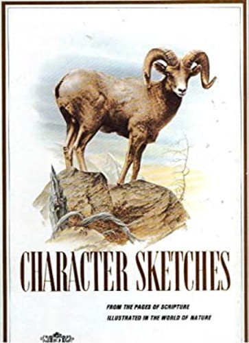 Character sketches hardcover - character,