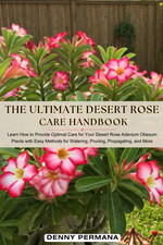 The Ultimate Desert Rose Care