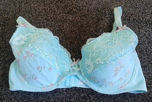 Duck egg blue - duck, evie