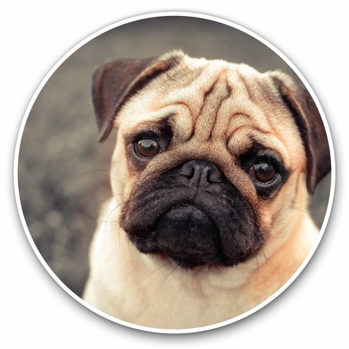 Vinyl stickers 10cm cute - x,
