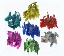 FLY TYING GUINEA FOWL PLUMAGE DYED AND NATURAL COLOUR,FLYTYING